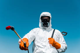 Best Termite Inspection and Treatment  in Waterman, IL